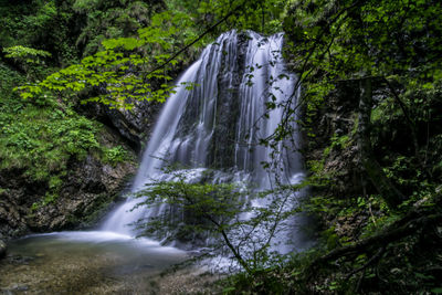 Low angle view of waterfall amidst trees in forest