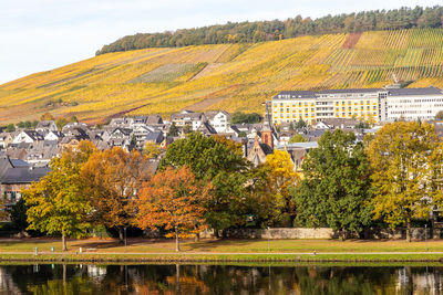 Scenic view of river by trees and buildings against sky