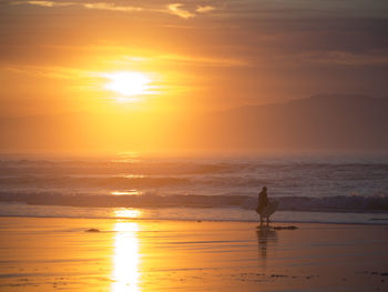 Silhouette man on beach against sky during sunset