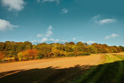 Trees on field against sky