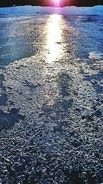 Reflection of trees in water