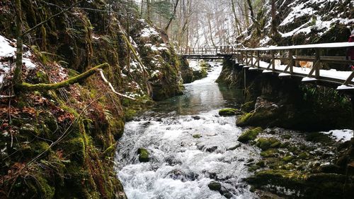 Scenic view of waterfall in forest