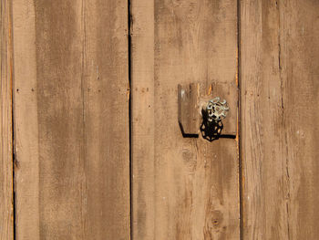 Close-up of wooden door with metallic knob