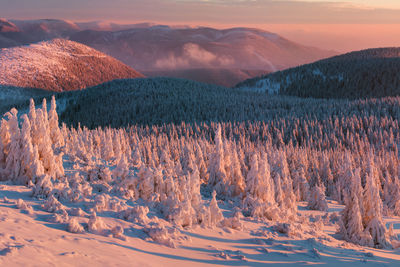 Scenic view of snow covered mountains during sunset