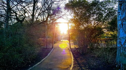 Empty road amidst trees against sky at sunset