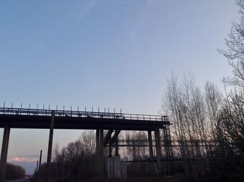 Trees against clear blue sky