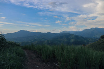 Scenic view of landscape against sky