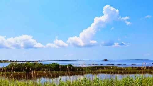 Scenic view of landscape against cloudy sky