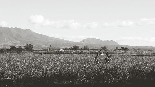 Scenic view of field against sky