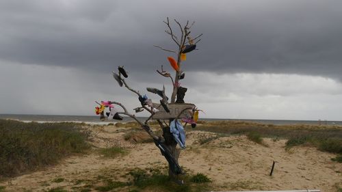 Bare tree at beach with lost and found clothes and shoes - art is everywhere