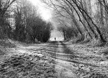 Man walking on dirt road in forest