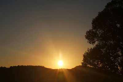 Silhouette trees against sky during sunset