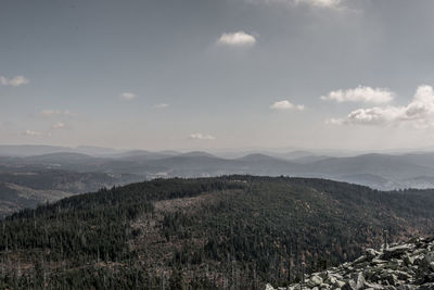 Scenic view of landscape against sky