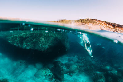 Close-up of jellyfish swimming in sea