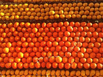 Stack of oranges and lemons tied during fete du citron festival