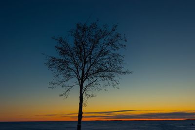 Silhouette tree against sky during sunset