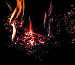 Close-up of illuminated bonfire at night