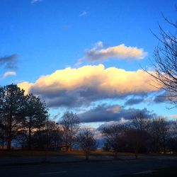 Scenic view of landscape against cloudy sky