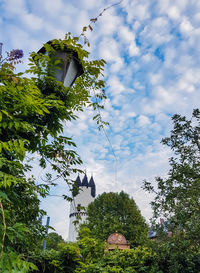 Low angle view of trees against sky