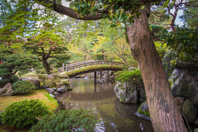 Arch bridge over river amidst trees in park