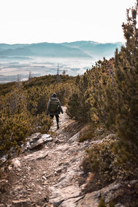 Rear view of man walking on snow covered land