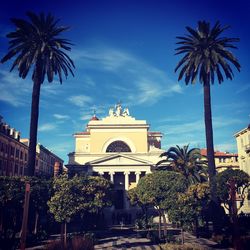 Statue of palm trees at night