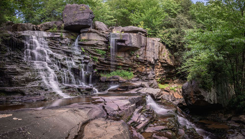 Scenic view of waterfall in forest