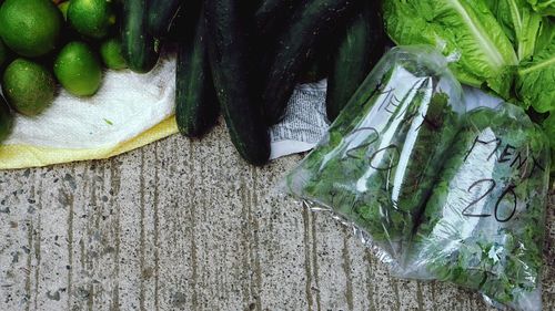 Close-up of green leaves