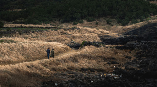 Rear view of a couple walking on landscape