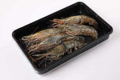seafood