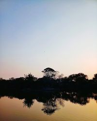 Silhouette trees by lake against clear sky during sunset