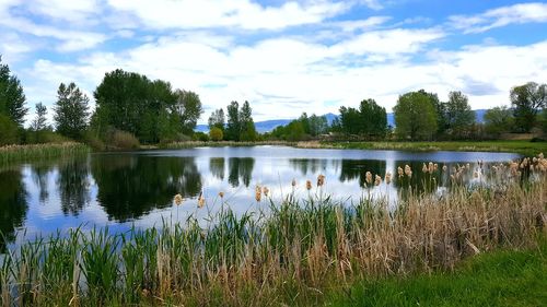 Scenic view of lake against sky