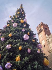 Low angle view of christmas tree against sky