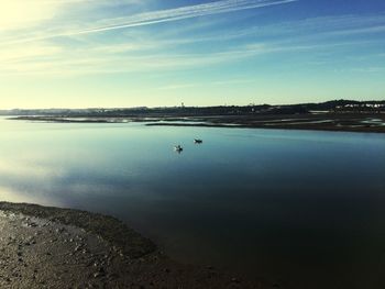 View of birds on beach against sky