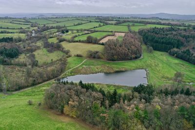 Scenic view of agricultural field