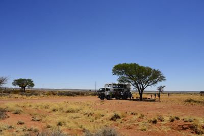 Trees on field against clear blue sky