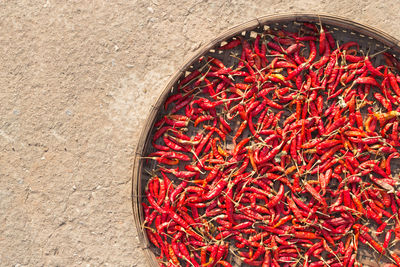 Red chilli pepper drying with the sun