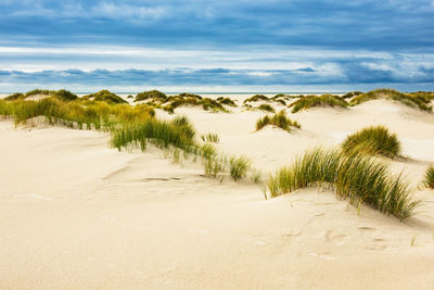 Scenic view of beach against sky