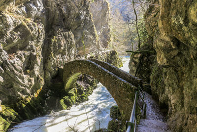 Arch bridge over river stream amidst trees