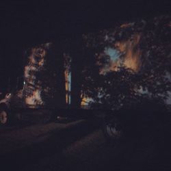 View of trees at night