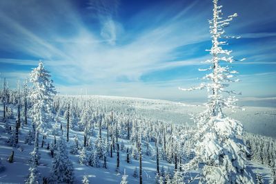 Snow covered landscape against blue sky