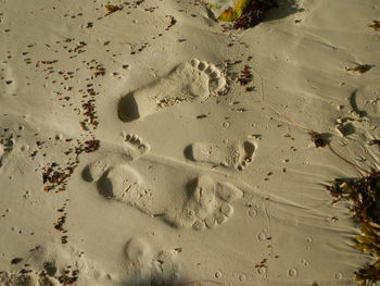 Close-up of footprints on sand