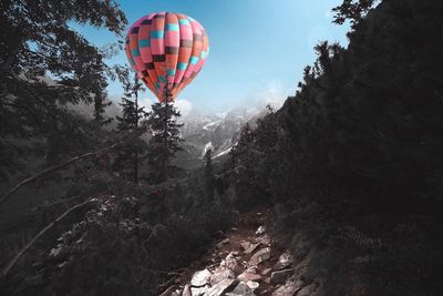 Hot air balloon flying over trees