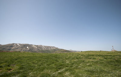 Scenic view of field against clear blue sky