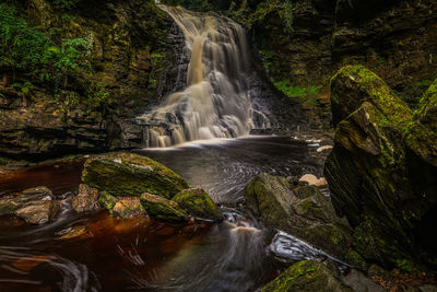 Scenic view of waterfall in forest