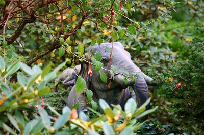 View of elephant sculpture on tree