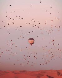 Flock of hot air balloons flying against sky during sunset