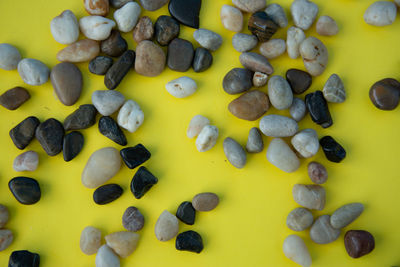 High angle view of candies on table