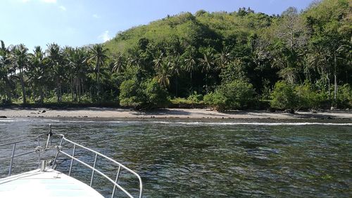 Scenic view of river amidst trees in forest against sky