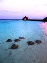 Scenic view of sea against sky at sunset